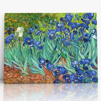 Iris, Van Gogh