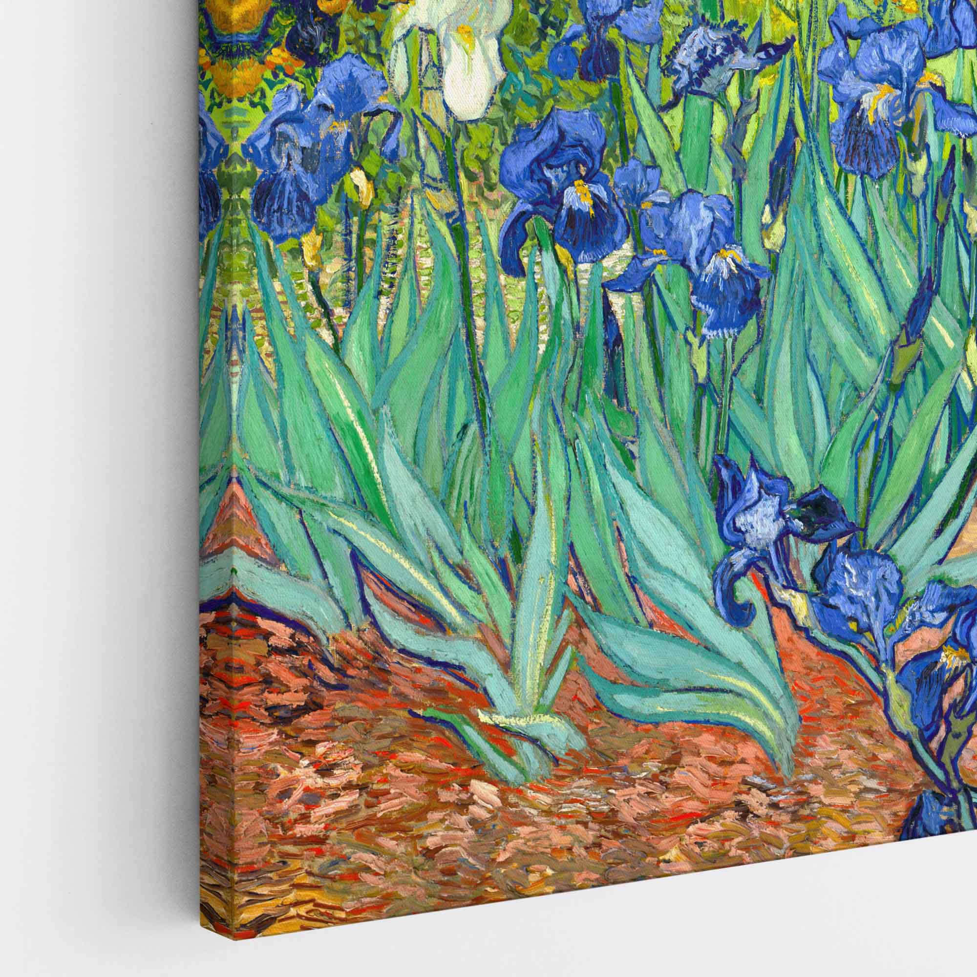 Iris, Van Gogh